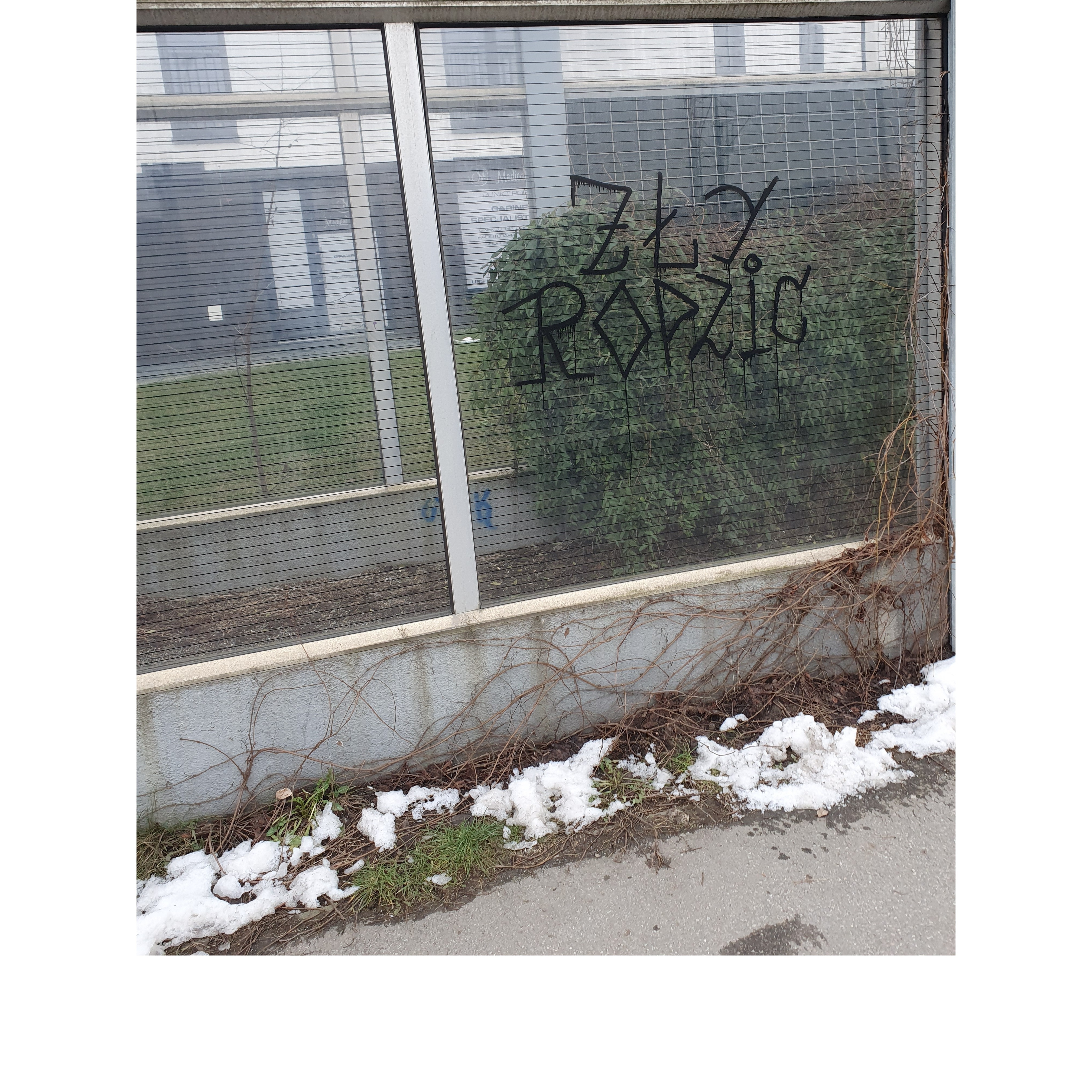 Zdjęcie przed zamalowaniem