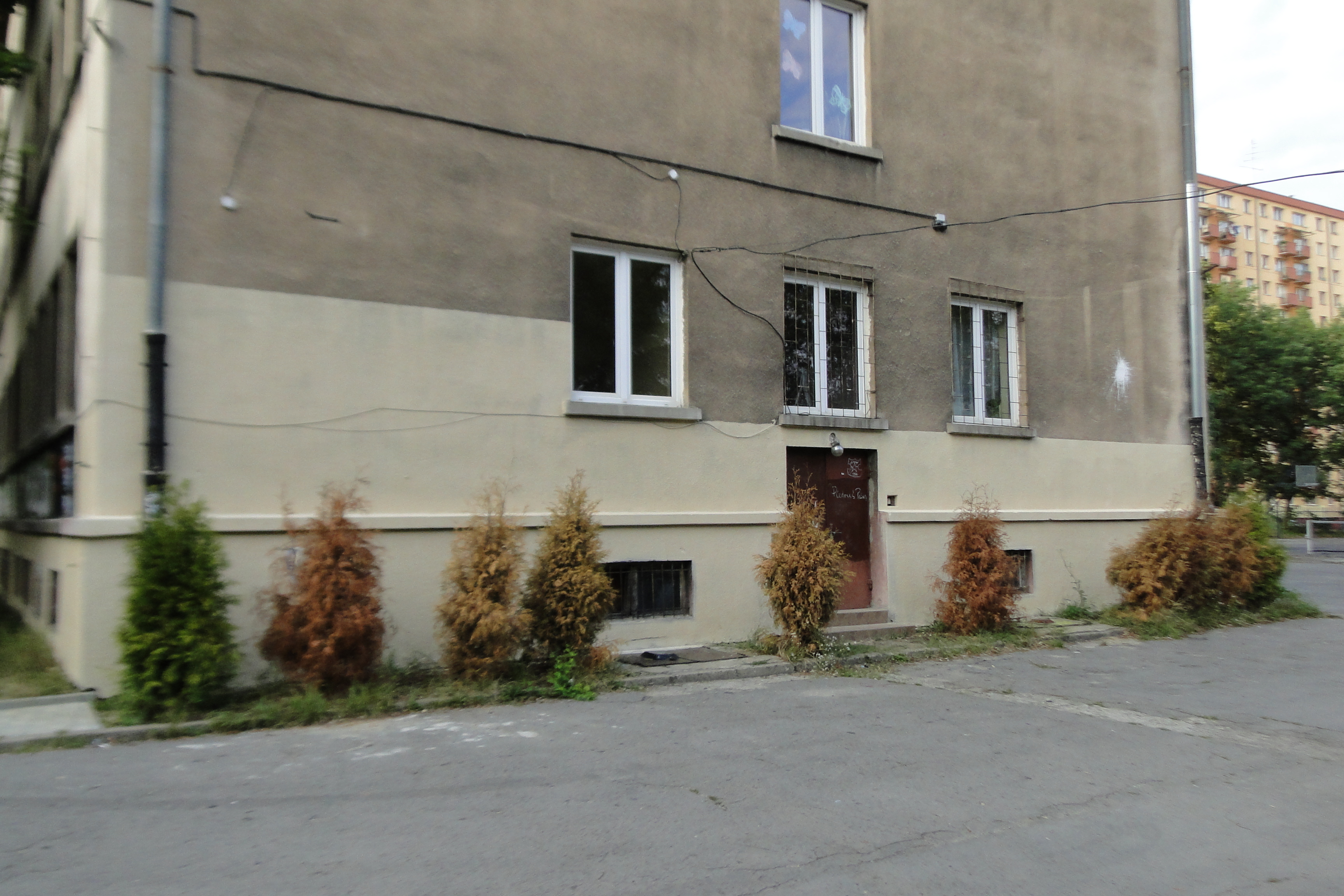 Zdjęcie po zamalowaniu