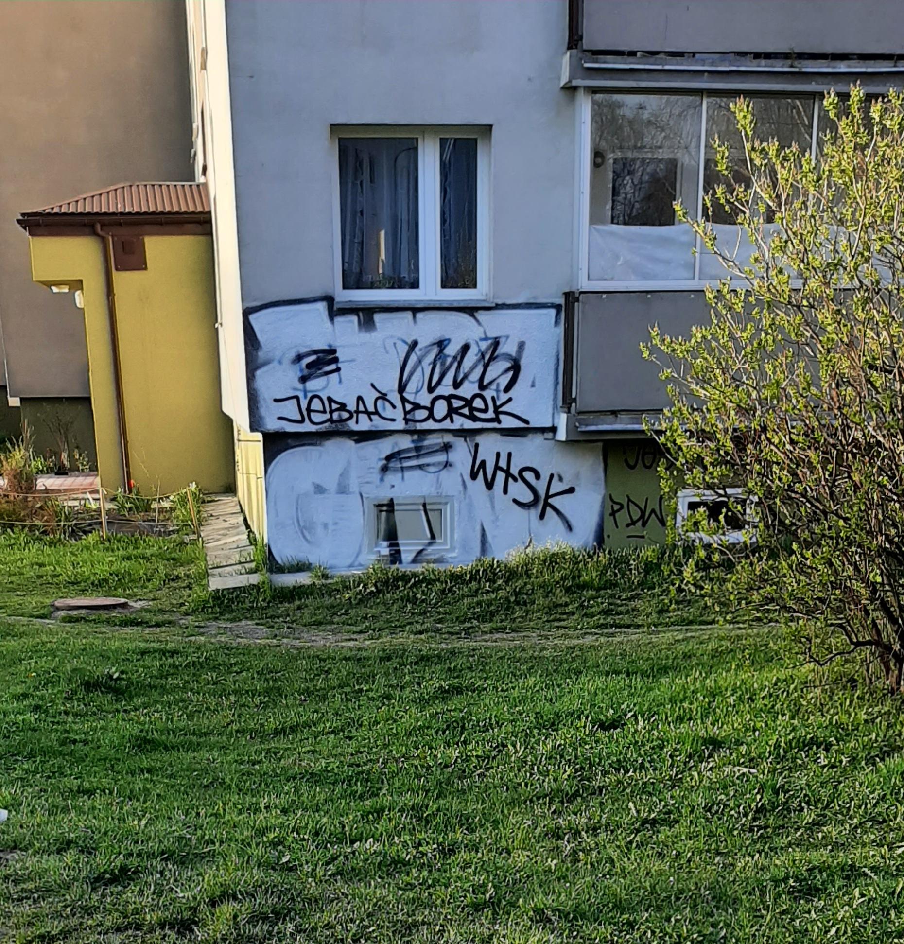 Zdjęcie przed zamalowaniem