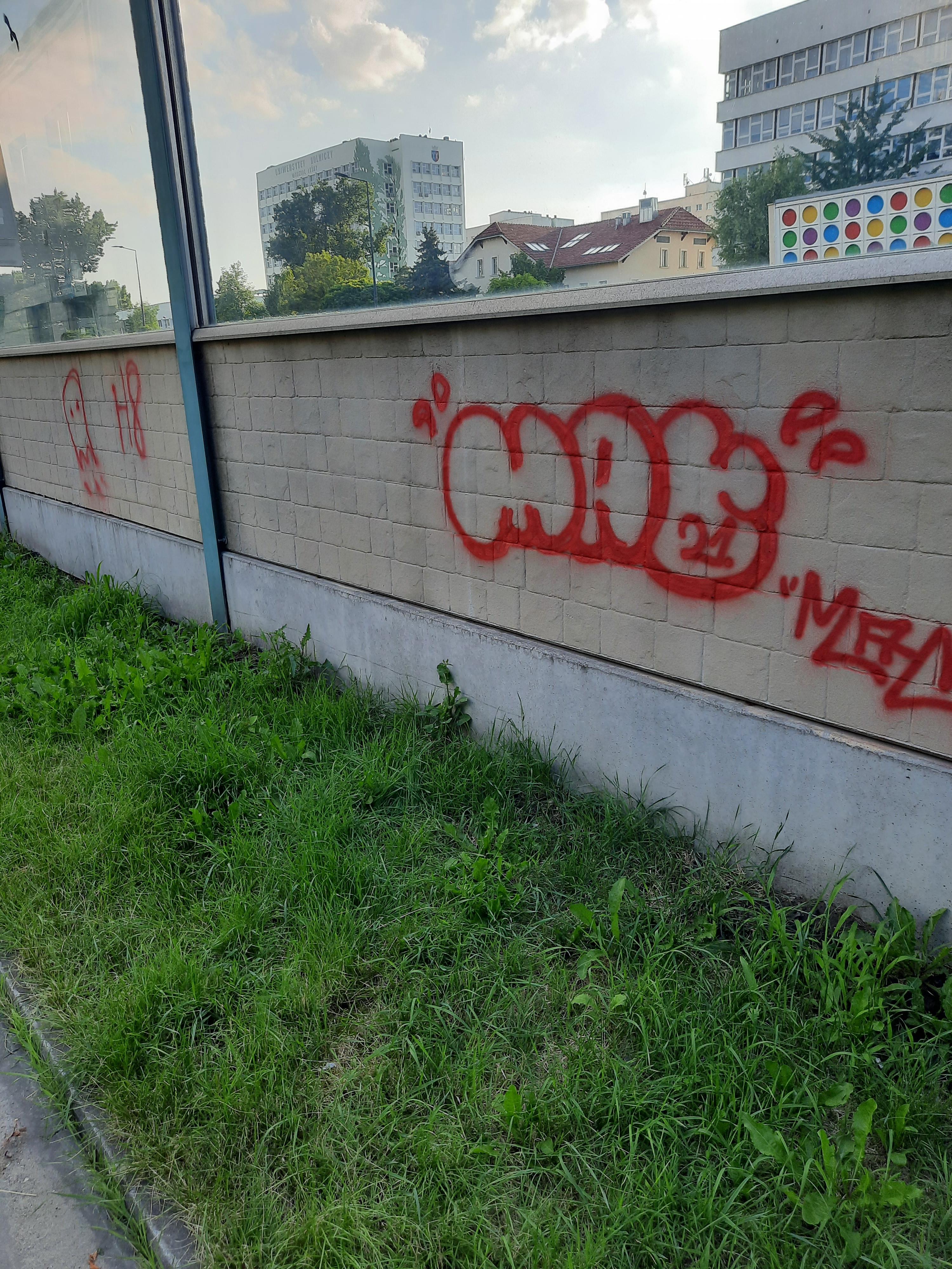 Zdjęcie przed zamalowaniem