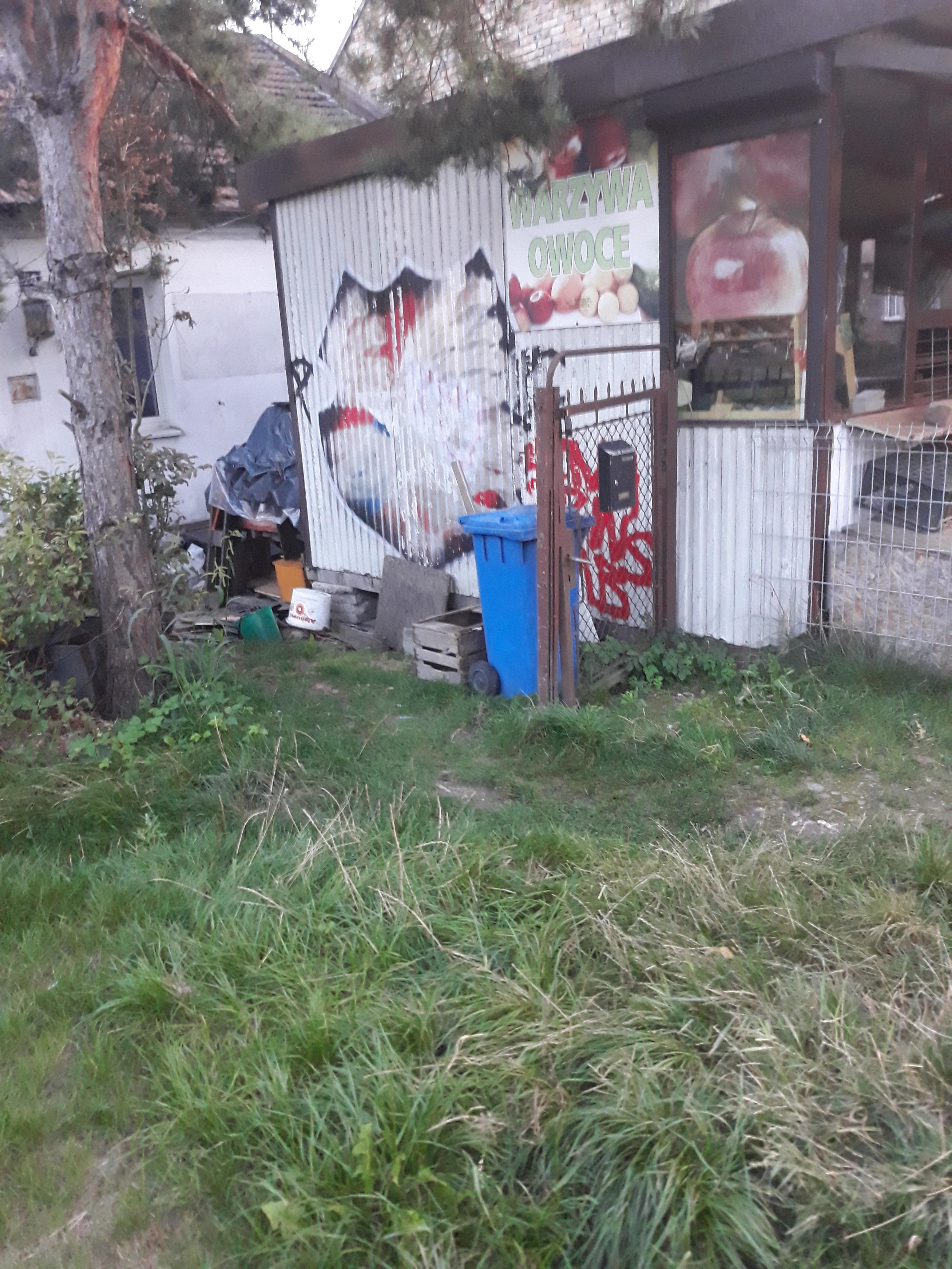 Zdjęcie przed zamalowaniem