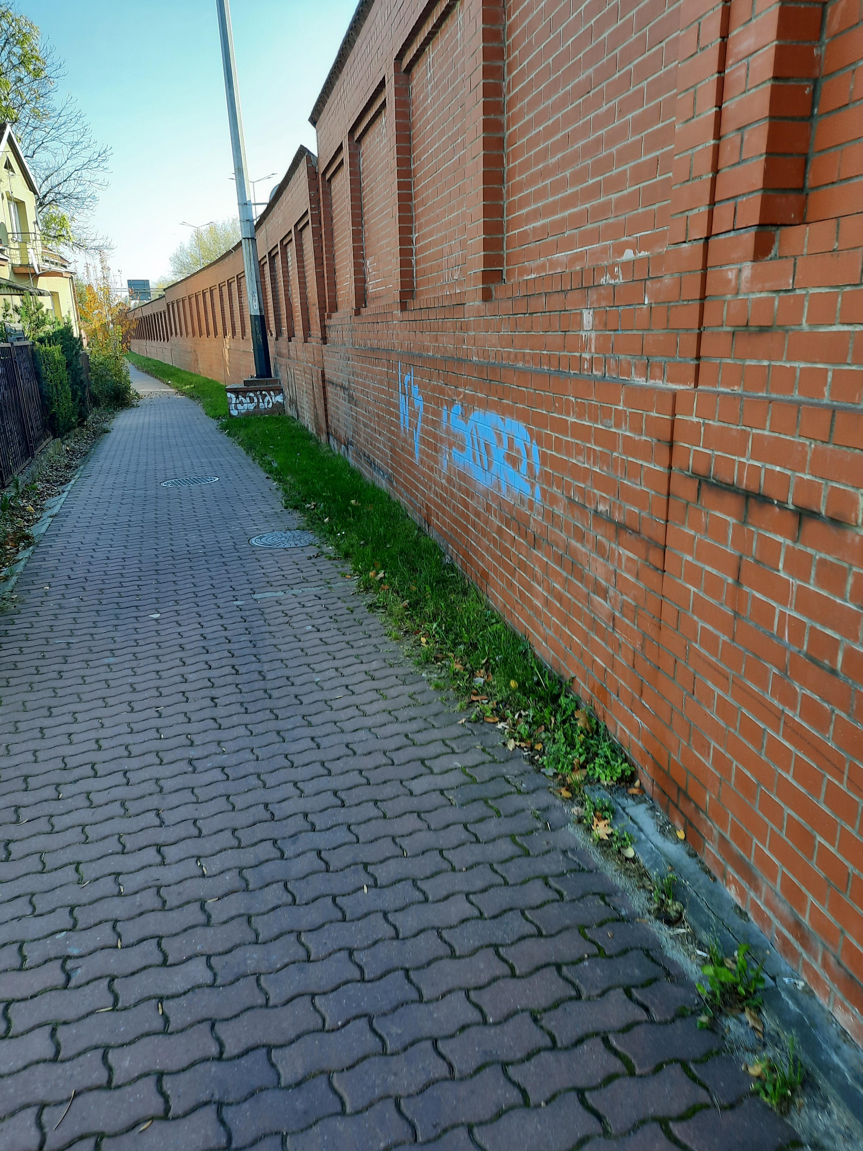 Zdjęcie przed zamalowaniem