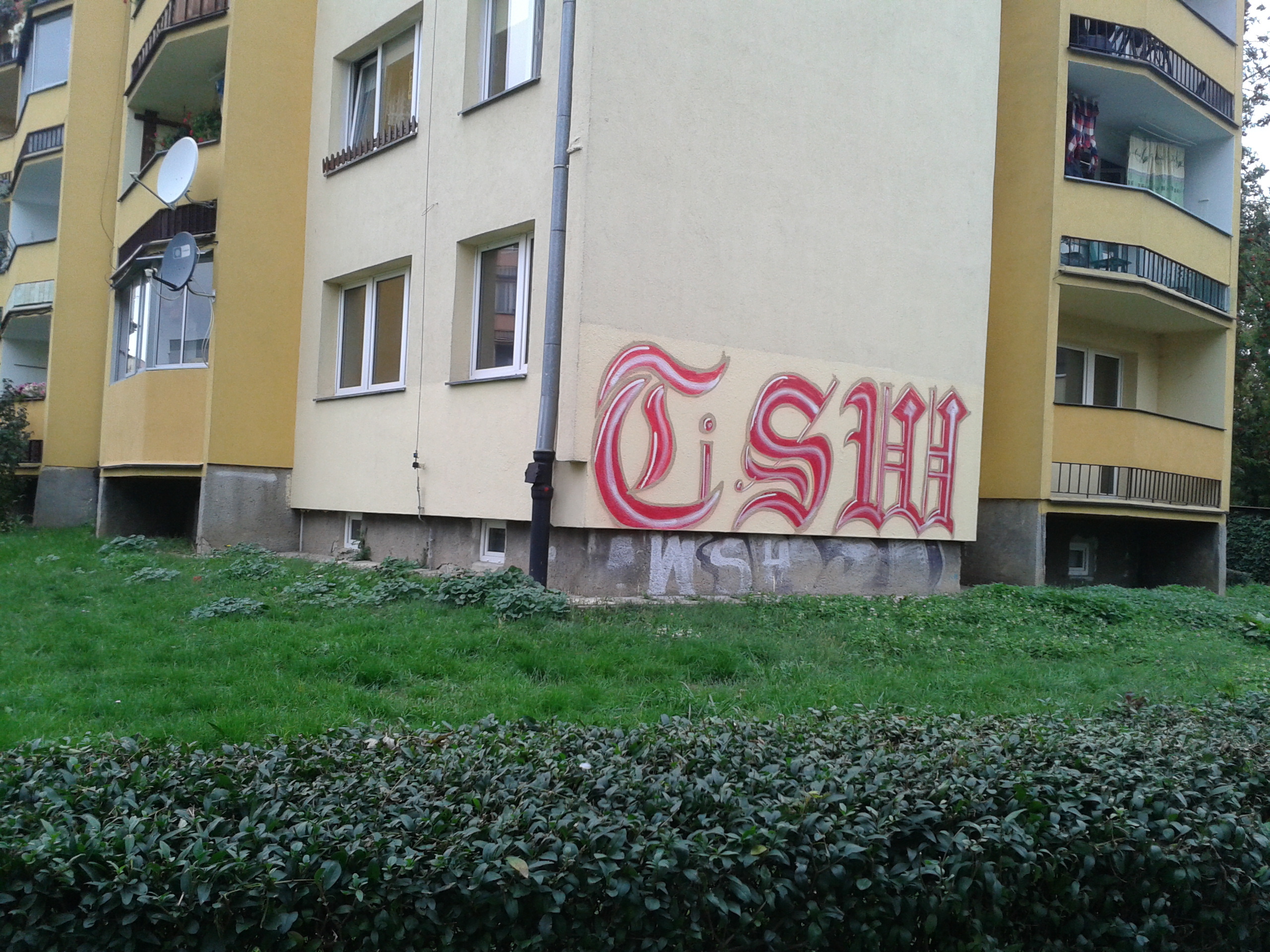 Zdjęcie przed zamalowaniem