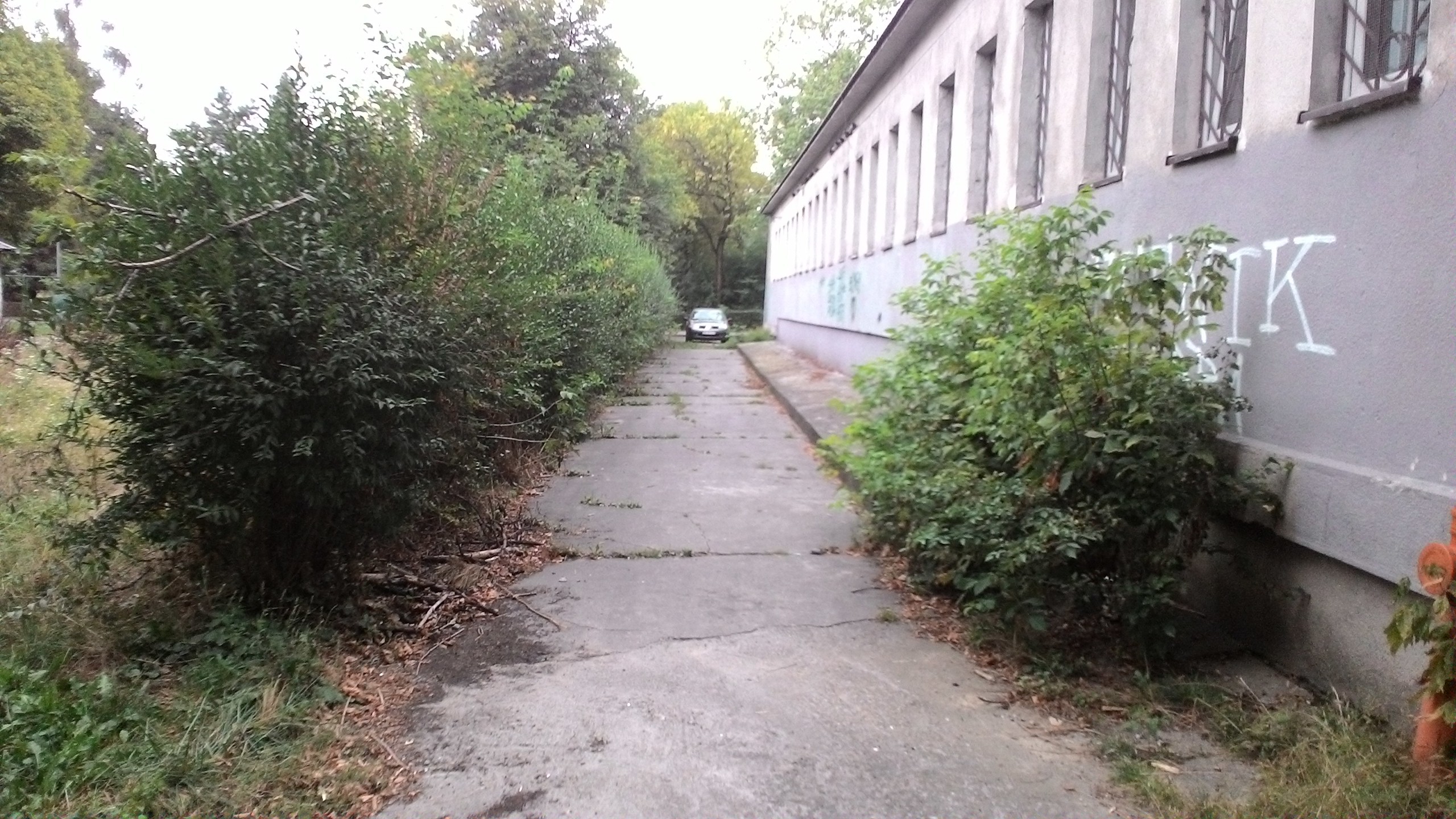 Zdjęcie przed zamalowaniem
