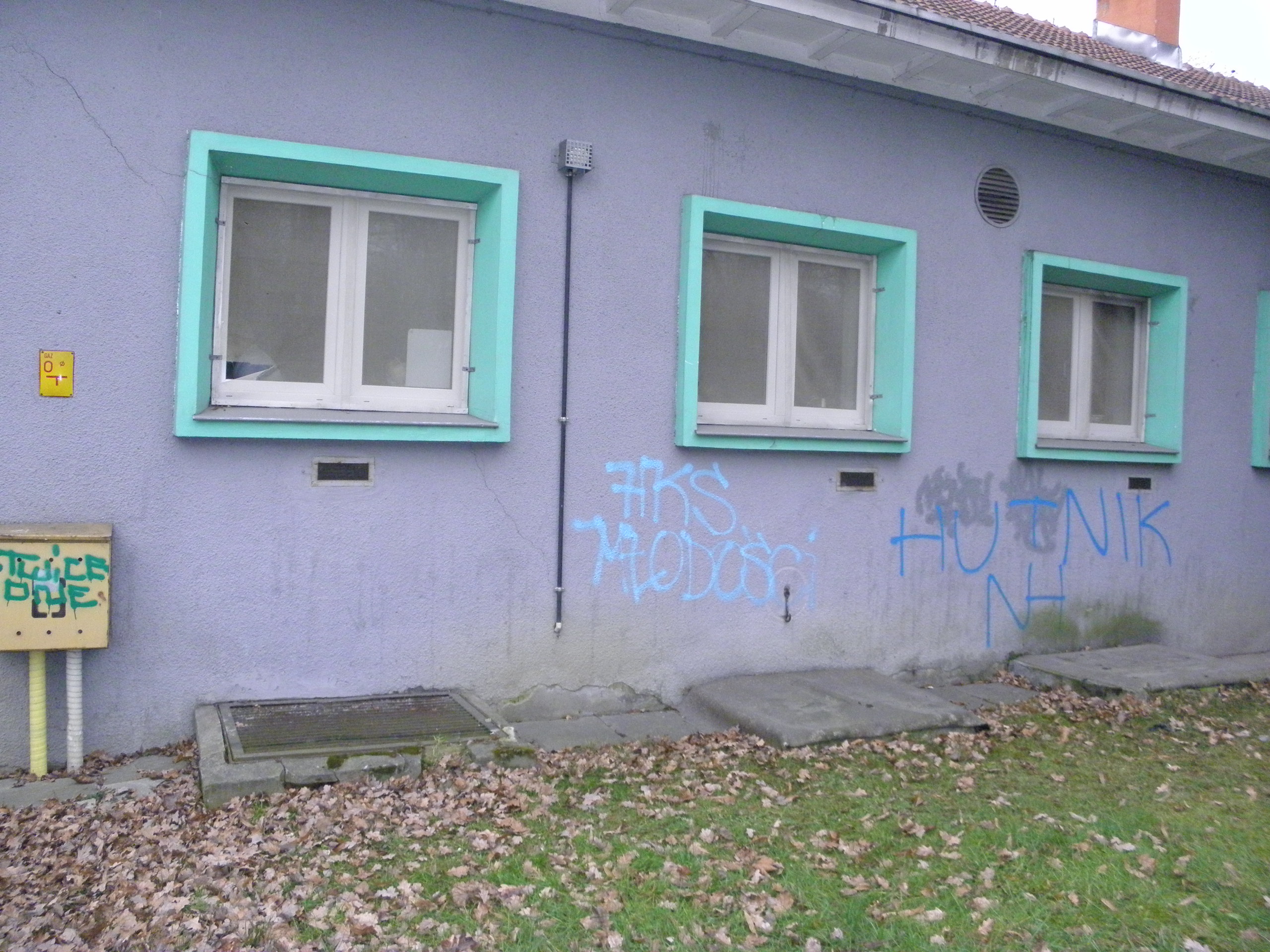 Zdjęcie przed zamalowaniem