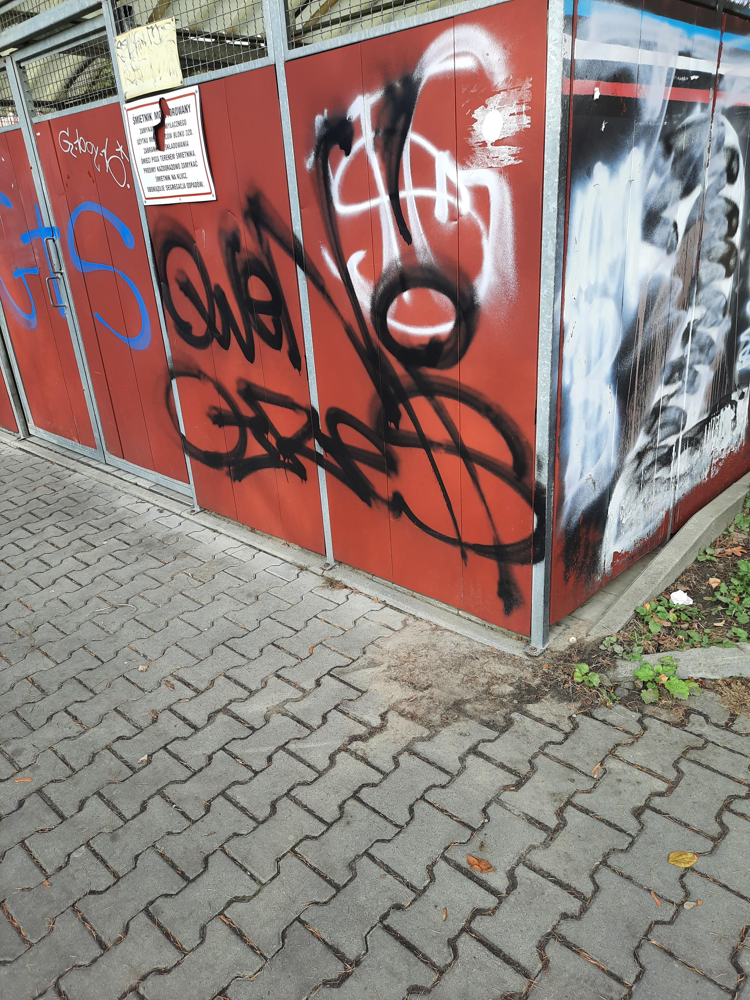Zdjęcie przed zamalowaniem