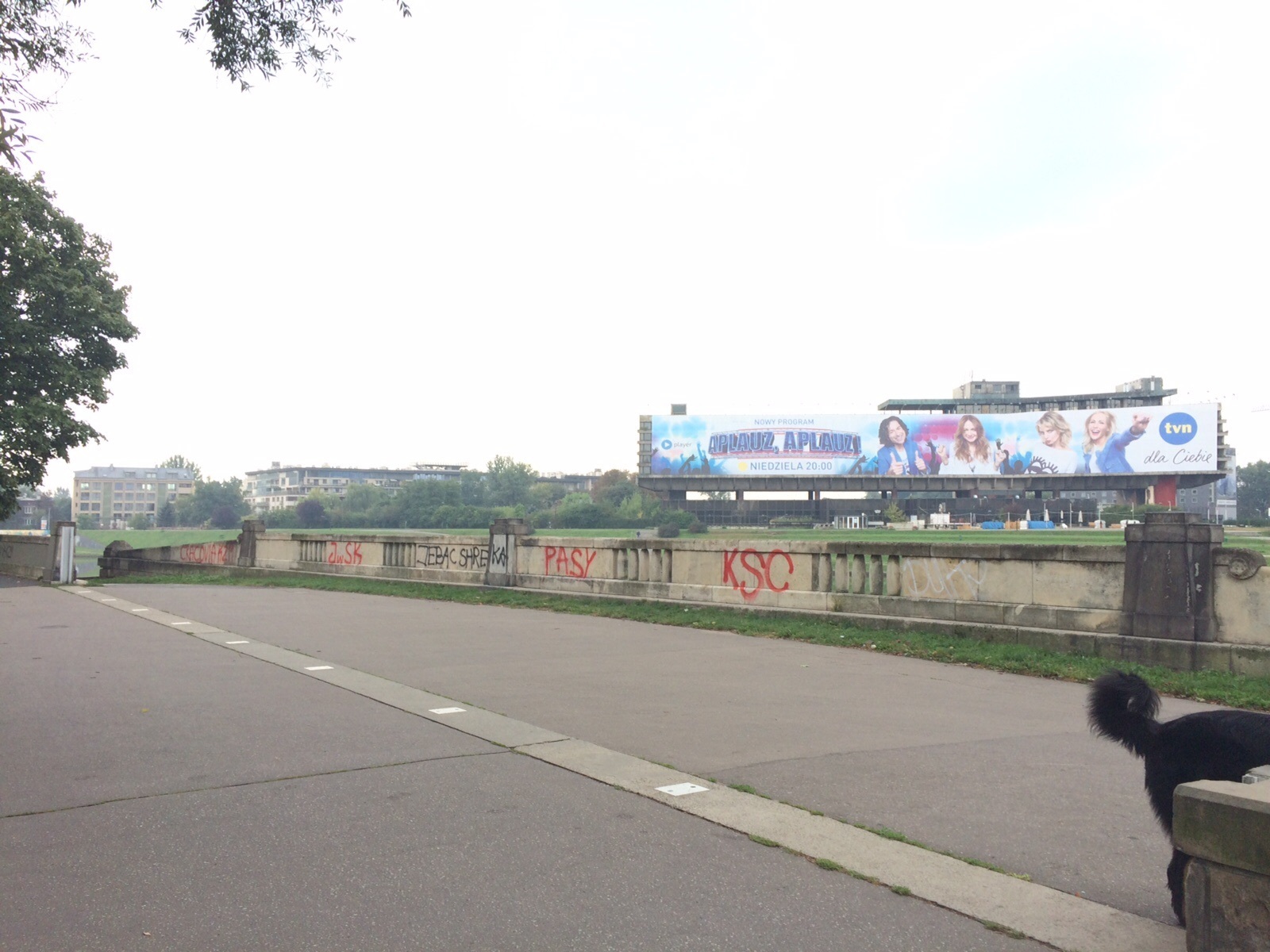 Zdjęcie przed zamalowaniem